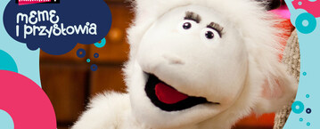 Meme i przysłowia