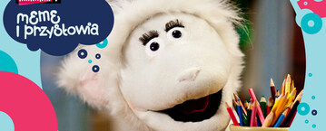 Meme i przysłowia